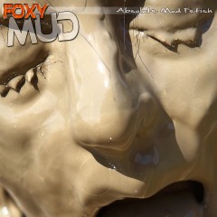 FOXY: Into the mud ....