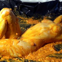 Stella: Pumpkin Apple Pie Covered Stella