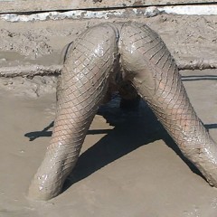 FOXY: Video fishnet and total mud