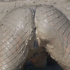 FOXY: Video fishnet and total mud