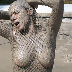 FOXY: Video fishnet and total mud