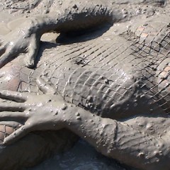 FOXY: Video fishnet and total mud