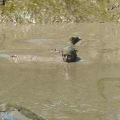 FOXY: Lydia fully immersed in mud