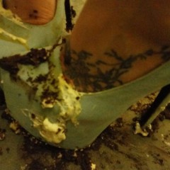 merson76: Baby blue heels