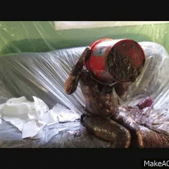 tomfooleryguy: Lucky or Mucky Emily Gifs