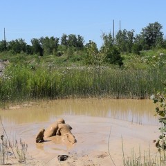 RyuuWammer: Pictures from some of this years mud videos (to be released)