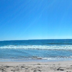 GungeMonkey: First Time in the Ocean, with Underwear