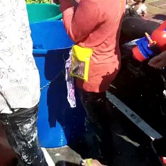 Wetlookthailandnet: This month update
