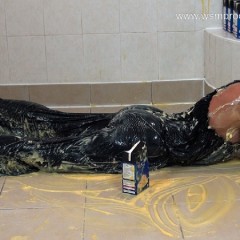 WSMProductions: Custard coated mature lady Dee enjoys 31 mins messy fun -wsm