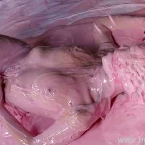 HotWamHD: Freya's Gunge Machine Gymnastics at Hotwamhd