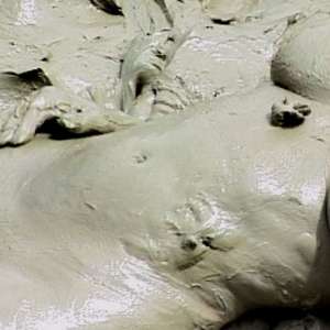 FOXY: video Cindy in mud