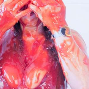 JellynCustard: Emily turns the tables on JnC with a savoury gunging!