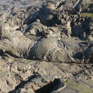 DungeonMasterOne: Coed: A lovely young couple totally plaster each other with mud!