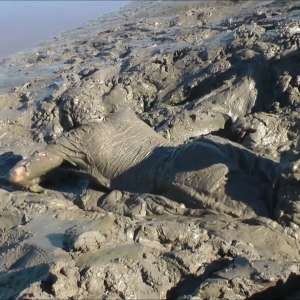 DungeonMasterOne: Coed: A lovely young couple totally plaster each other with mud!