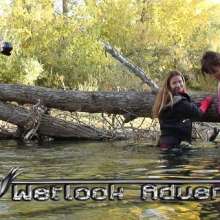 Tarzan: WetlookAdventure--5 Update in Download Store