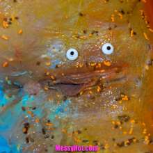 messyhot: Halloween 30% off sale