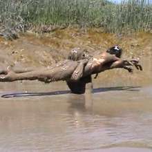 FOXY: A couple in the mud