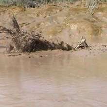 FOXY: A couple play in mud