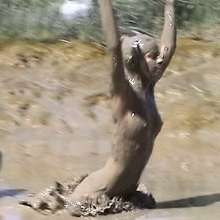 FOXY: A couple play in mud