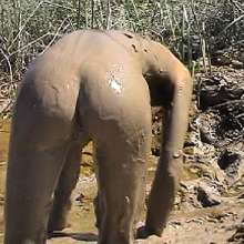 FOXY: A couple play in mud