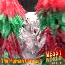 LiquidX: Messyworld Hotbox: Karen Covered in Pies then 'Washed'  by Mistress
