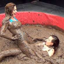 wamfan: Mud Wrestling Video: Victorious!