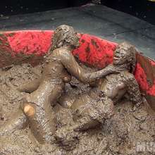 wamfan: Mud Wrestling Video: Victorious!