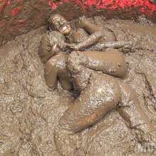 wamfan: Mud Wrestling Video: Victorious!