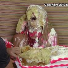 SlapstickStuff: Sam Gets Slimed!  (And Caked) In a new SlapstickStuff scene!