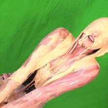 noise: 25% Off All Videos--One Day Only