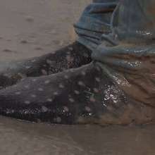 MostWam: A Casual Mud Bath For Danielle