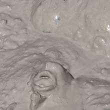 FOXY: Amazing extreme mud