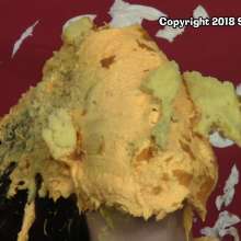 SlapstickStuff: SlapstickStuff Presents: Extreme Caking with Lucy!