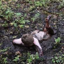 Stella: Stella splashes through forest swamp looking for a mud pit.