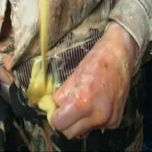 123gunge: Office emails. (Poor Michelle!)