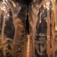 123gunge: Office emails. (Poor Michelle!)