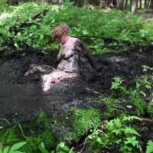Stella: Going Deep