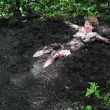 Stella: Going Deep