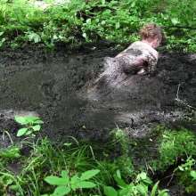 Stella: Going Deep