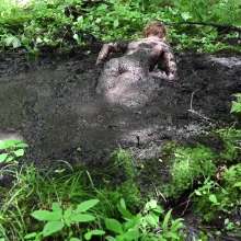 Stella: Going Deep
