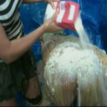 123gunge: Holly says goodnight.