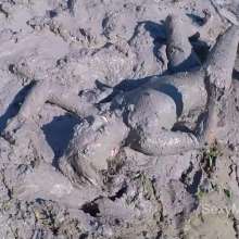 Alana SexyMessyBabes: Magic Mud Pit Pt. 1