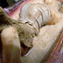 Bobographer: Tina in a chocolate milkshake bath