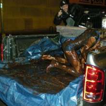 Chuck M: pudding wrestling