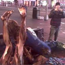 Chuck M: pudding wrestling
