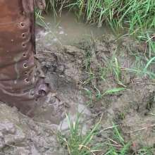 WetandMuddy: Video 43--Purposeful Wandering