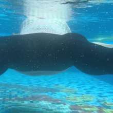 Wet_look_elena: Black Leggings and White Top in Pool