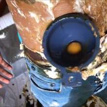 RevSlymsford: Hot Latinos Rafa + Daniel 30 Minute + Double Trashing