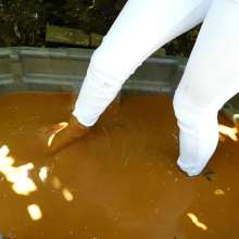 Kaydens: Kaydens' White Jeans in the Mud Spa