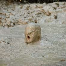 DuncanEdwards: Sadie Holmes--Fun in the Mud Bubbles